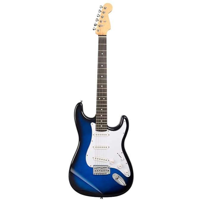 BLUEBERRY R-701, 6 String Right Handed Electric Guitar